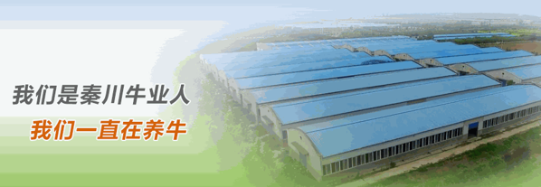 牛儿源牛肉火锅